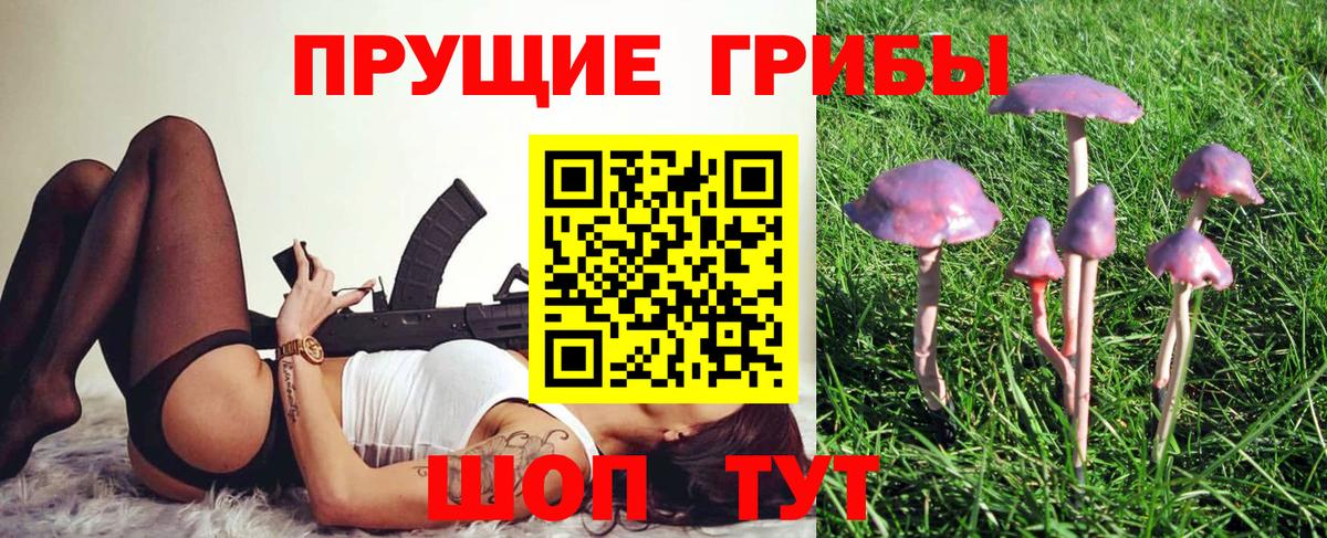 Галлюциногенные грибы MAGIC MUSHROOMS Апатиты