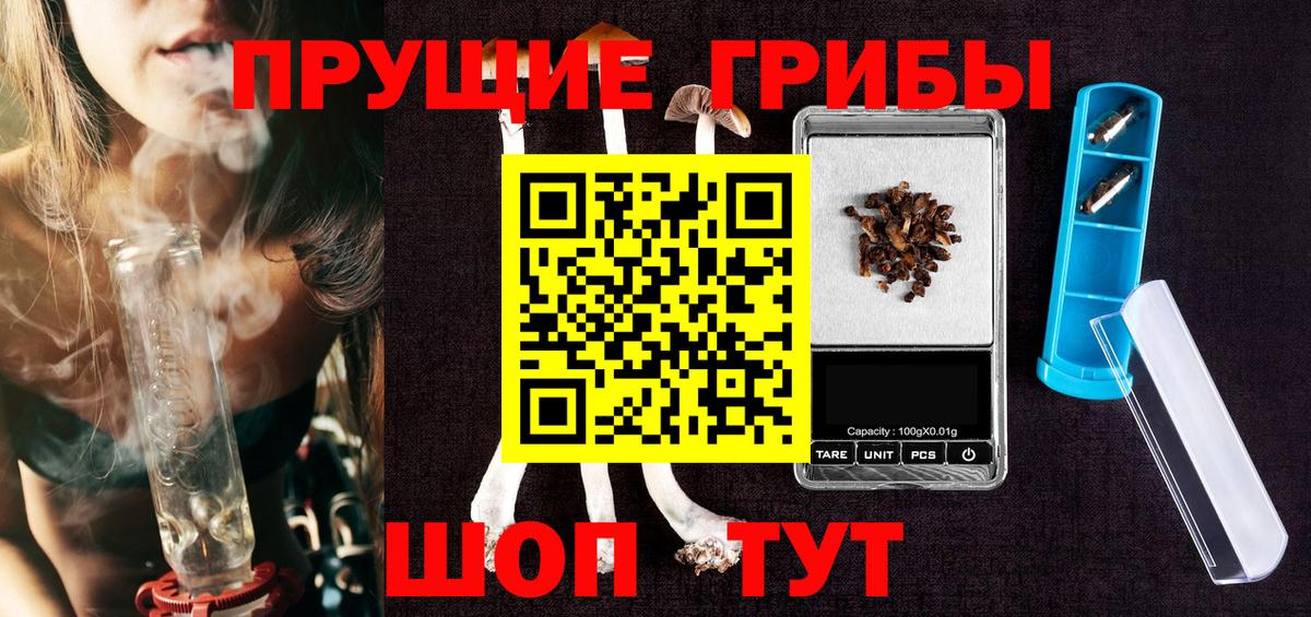 Псилоцибиновые грибы Cubensis  Вход с VPN  Апатиты 