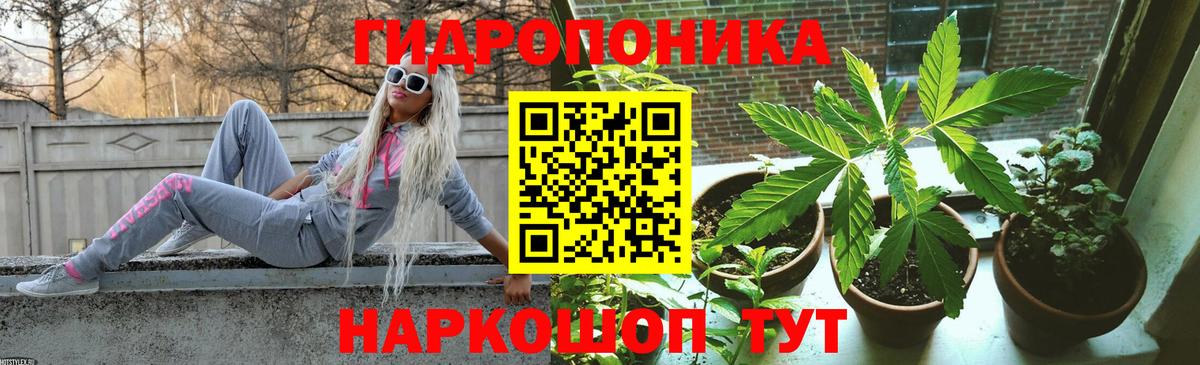 Каннабис конопля Апатиты